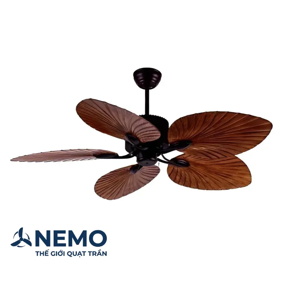 nm-03