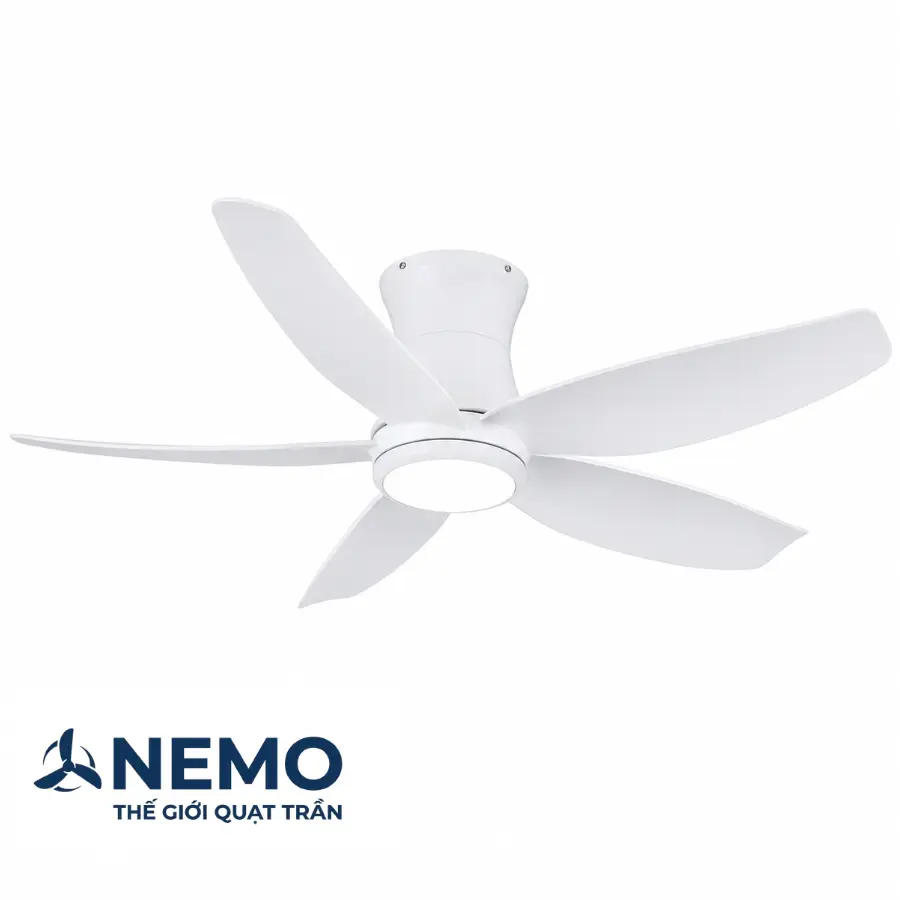 nm-302-t